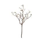 Cargar imagen en el visor de la Galería, Rama Decorativo de Magnolia