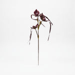 Cargar imagen en el visor de la Galería, Flor Lady Isabel artificial para decoración de interiores con exóticas flores oscuras sobre fondo blanco.