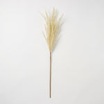 Cargar imagen en el visor de la Galería, Vara sorgo decorativa para follaje de interior 106 en color beige sobre fondo blanco.