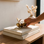 Cargar imagen en el visor de la Galería, Mano tocando la figura decorativa de abeja Maren en metal y cristal sobre unos libros.