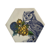 Individual Hexagonal · Diseño Búho-Estrellas