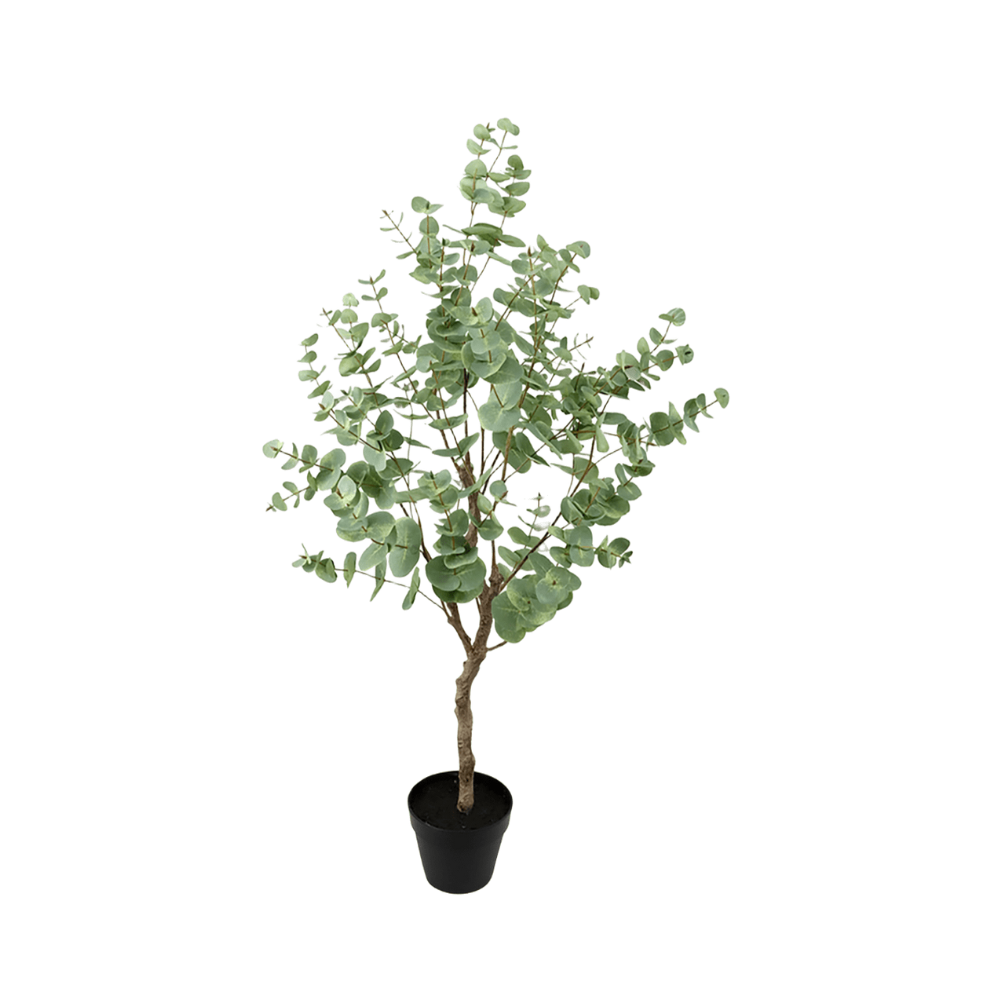 Arbol Decorativo Eucalipto