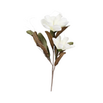 Cargar imagen en el visor de la Galería, Magnolias
