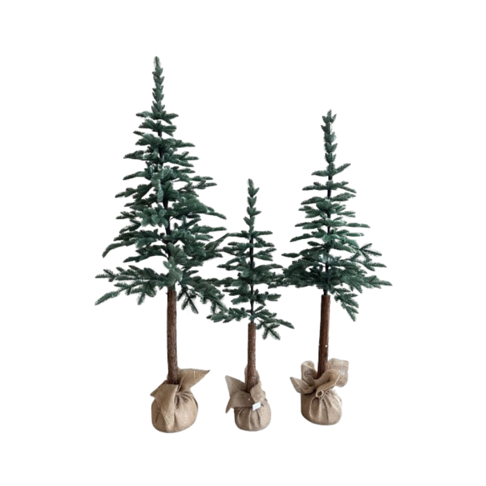 Pino Aspen Verde Seco