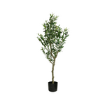 Cargar imagen en el visor de la Galería, Planta Decorativa Eren Mediano
