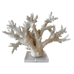 Cargar imagen en el visor de la Galería, Coral Brea