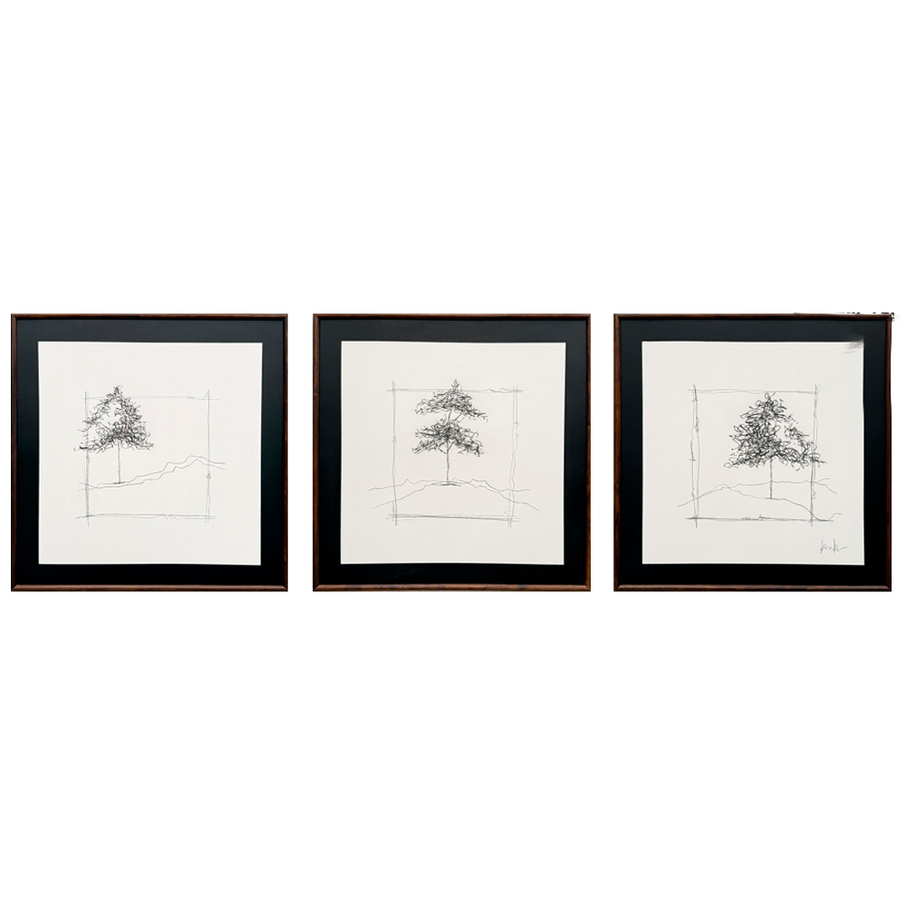 Set Foret