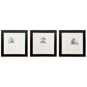 Tríptico de cuadros Set Foret con ilustraciones lineales de árboles en blanco y negro con paspartú y marco cuadrado oscuro.