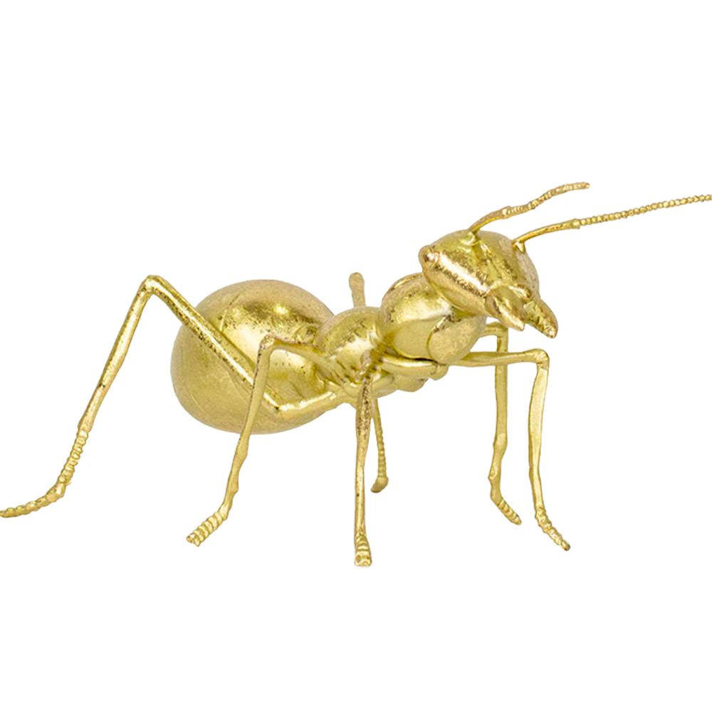 Hormiga Ant Gold