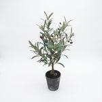 Cargar imagen en el visor de la Galería, Árbol olivo artificial chico 25x35x50 cm para interior en maceta con aceitunas y follaje verde.