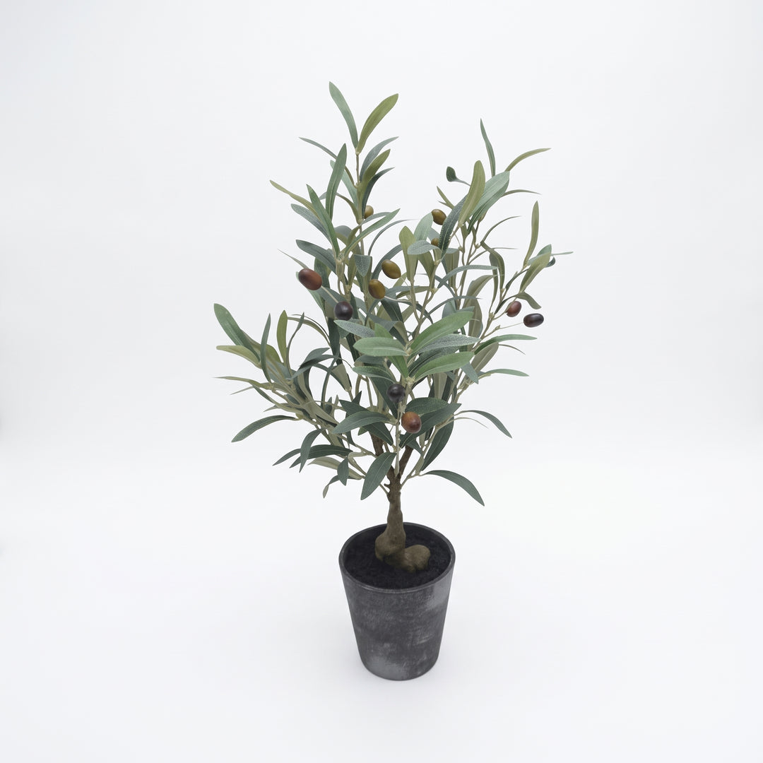 Árbol olivo artificial chico 25x35x50 cm para interior en maceta con aceitunas y follaje verde.