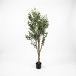 Cargar imagen en el visor de la Galería, Planta decorativa artificial olivo grande para sala e interior en maceta negra sobre fondo blanco.