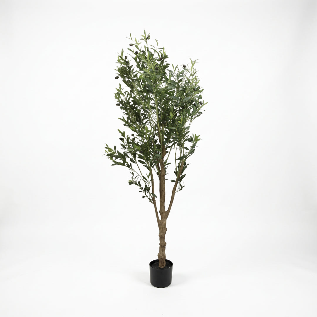 Planta decorativa artificial olivo grande para sala e interior en maceta negra sobre fondo blanco.