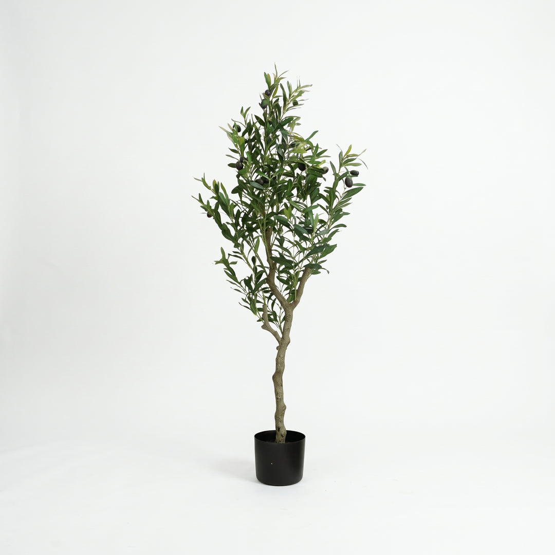 Planta decorativa artificial olivo mediano de 150cm con maceta negra para sala e interior sobre fondo blanco.
