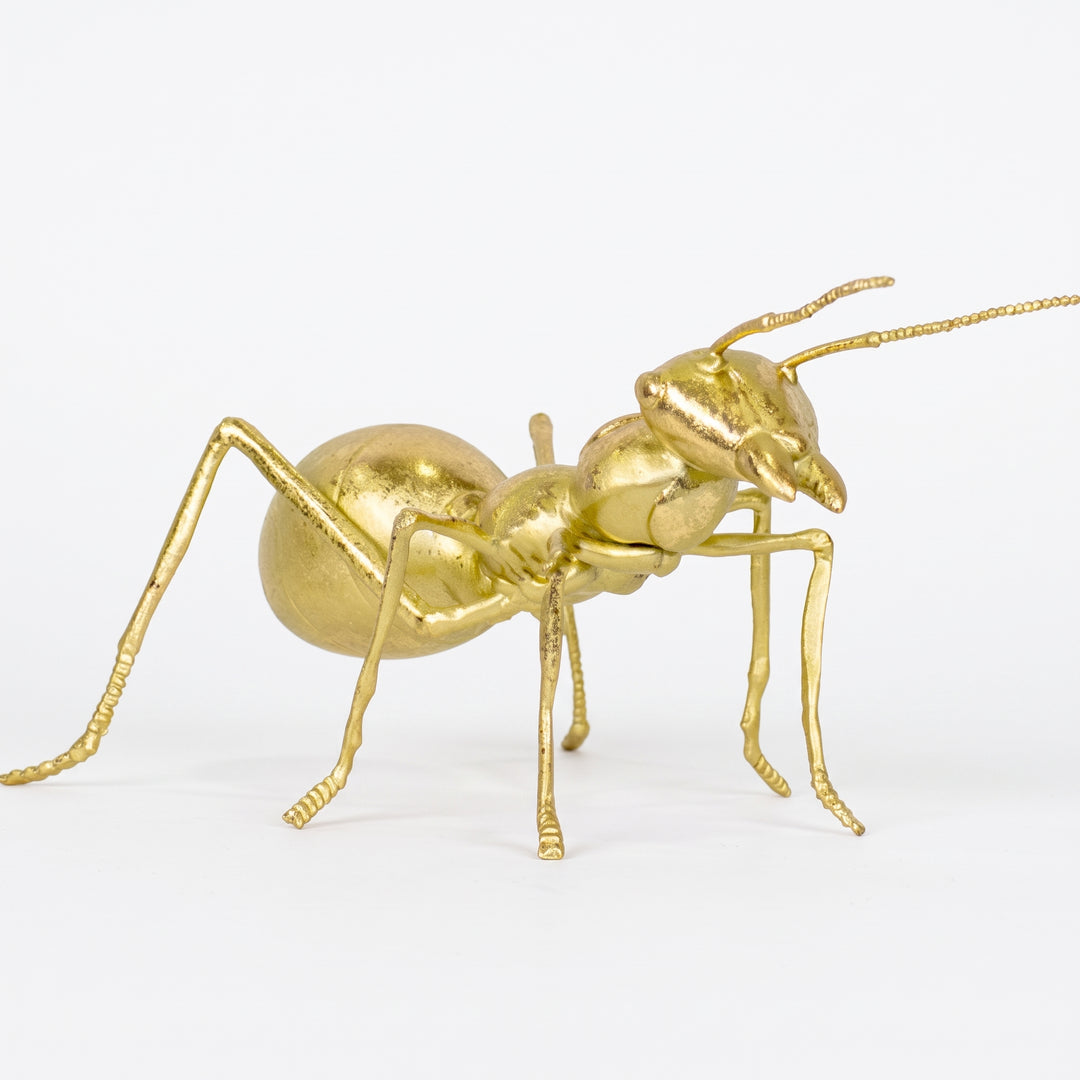 Hormiga Ant Gold, figura decorativa de resina en acabado dorado mate sobre fondo blanco.